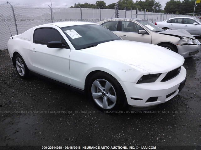 1ZVBP8AM9C5283779 - 2012 FORD MUSTANG WHITE photo 1