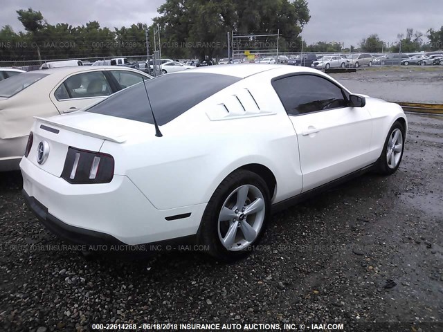 1ZVBP8AM9C5283779 - 2012 FORD MUSTANG WHITE photo 4