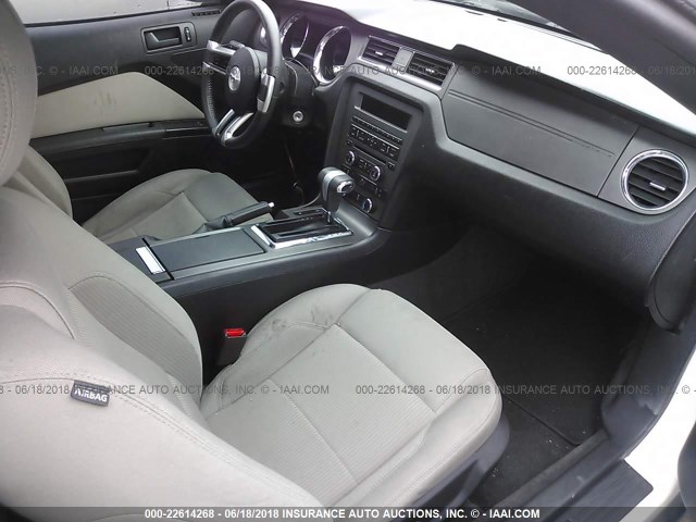 1ZVBP8AM9C5283779 - 2012 FORD MUSTANG WHITE photo 5