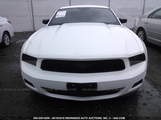 1ZVBP8AM9C5283779 - 2012 FORD MUSTANG WHITE photo 6