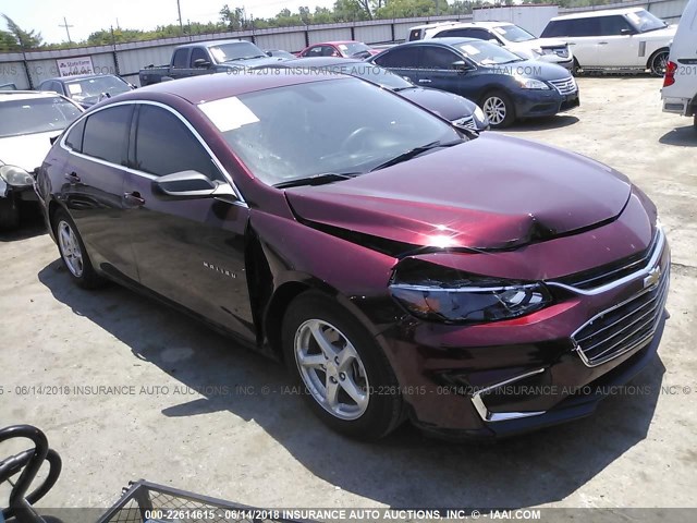 1G1ZB5STXGF215679 - 2016 CHEVROLET MALIBU LS BURGUNDY photo 1