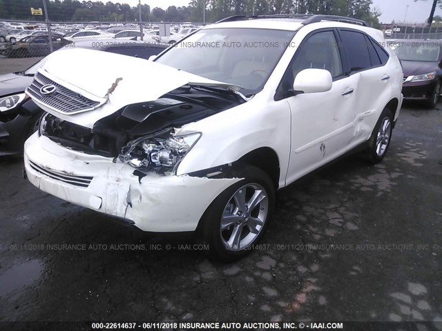 JTJGW31UX82850392 - 2008 LEXUS RX 400H WHITE photo 2