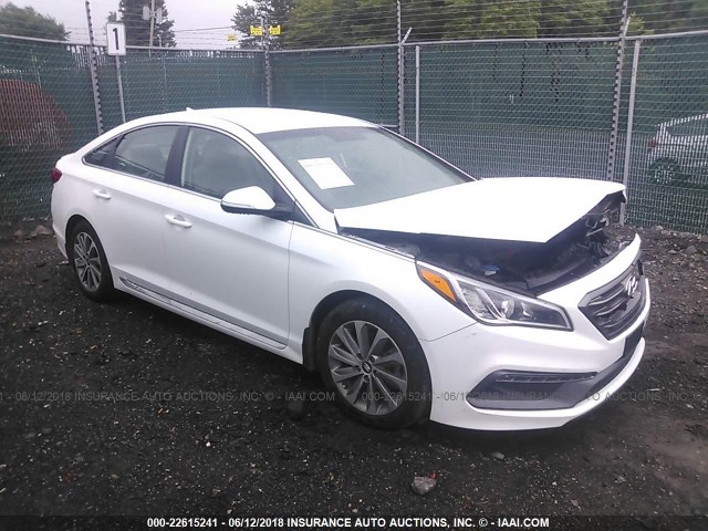 5NPE34AF9GH307851 - 2016 HYUNDAI SONATA SPORT/LIMITED WHITE photo 1