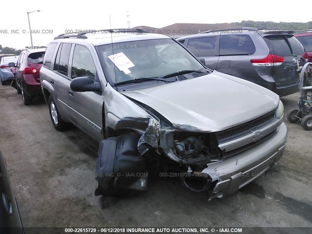 1GNDT13SX22368048 - 2002 CHEVROLET TRAILBLAZER  GRAY photo 1