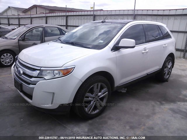 2FMDK3KC8BBA56656 - 2011 FORD EDGE LIMITED WHITE photo 2