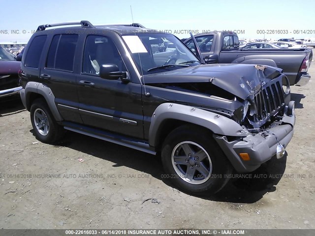 1J4GK38K55W612760 - 2005 JEEP LIBERTY RENEGADE GRAY photo 1