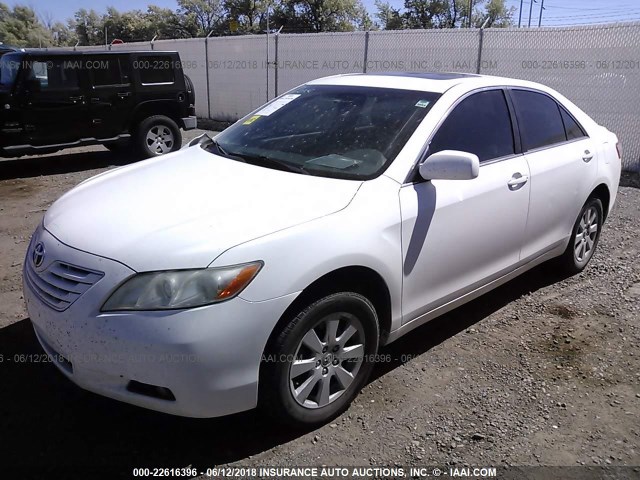 4T4BE46K39R116696 - 2009 TOYOTA CAMRY SE/LE/XLE WHITE photo 2