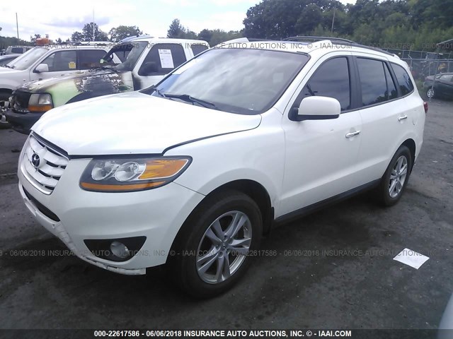 5NMSKDAG1AH366167 - 2010 HYUNDAI SANTA FE LIMITED WHITE photo 2