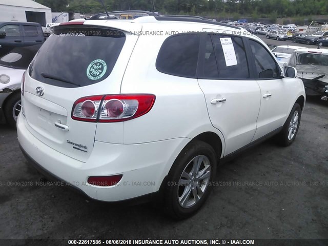 5NMSKDAG1AH366167 - 2010 HYUNDAI SANTA FE LIMITED WHITE photo 4