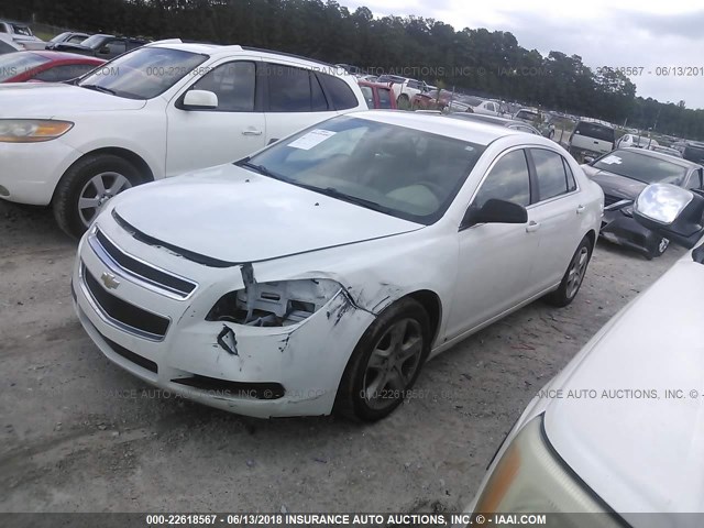 1G1ZA5E0XAF106859 - 2010 CHEVROLET MALIBU LS WHITE photo 2