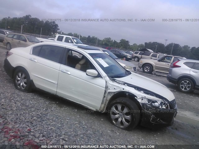 1HGCP36858A047751 - 2008 HONDA ACCORD EXL WHITE photo 1