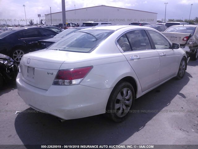 5KBCP3F88AB017222 - 2010 HONDA ACCORD EXL WHITE photo 4