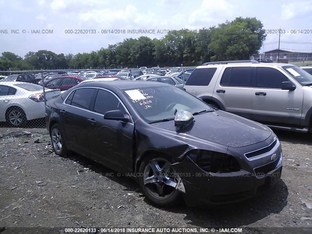 1G1ZA5E05AF289166 - 2010 CHEVROLET MALIBU LS GRAY photo 1