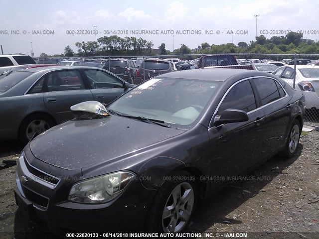 1G1ZA5E05AF289166 - 2010 CHEVROLET MALIBU LS GRAY photo 2