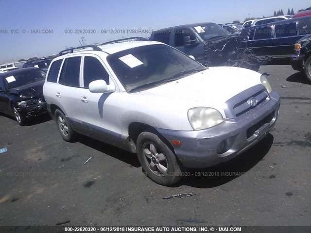 KM8SC73D65U866059 - 2005 HYUNDAI SANTA FE GLS/LX WHITE photo 1