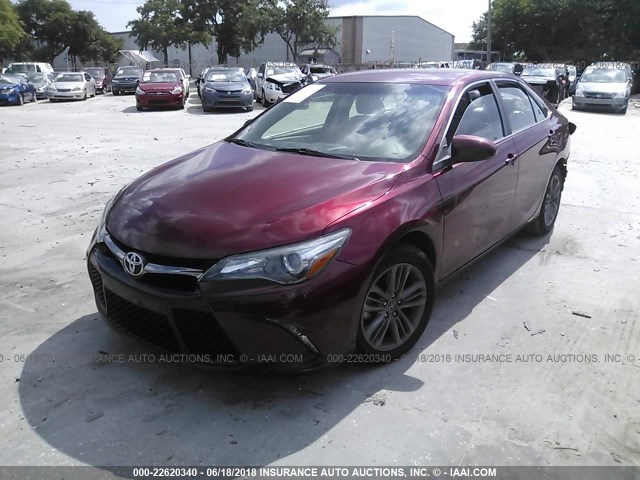 4T1BF1FK3GU516454 - 2016 TOYOTA CAMRY LE/XLE/SE/XSE RED photo 2