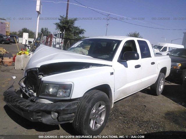 1D7RE3GP5AS229833 - 2010 DODGE DAKOTA SXT WHITE photo 2