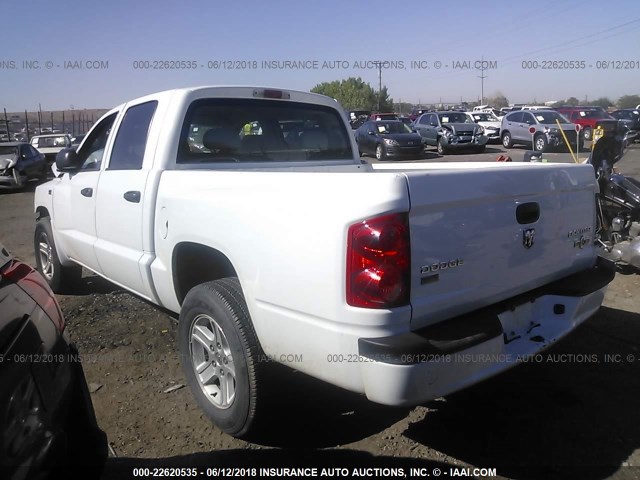 1D7RE3GP5AS229833 - 2010 DODGE DAKOTA SXT WHITE photo 3