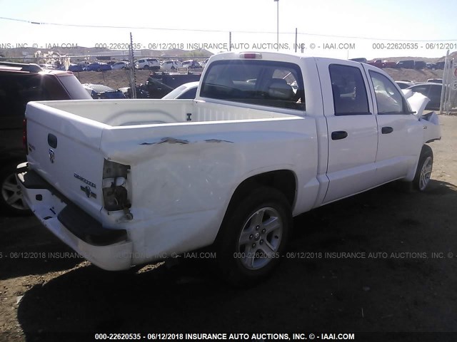 1D7RE3GP5AS229833 - 2010 DODGE DAKOTA SXT WHITE photo 4