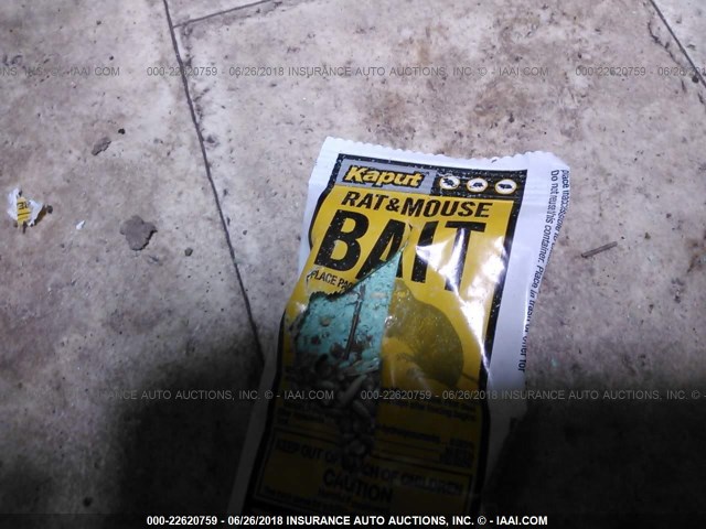 4X4TPAV2XBN013377 - 2011 FOREST RIVER PALOMINO STAMPEDE  白色 照片 6