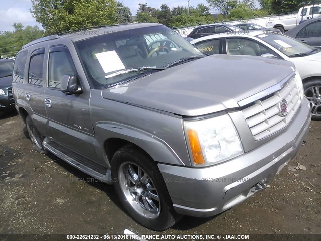 1GYEK63N62R113115 - 2002 CADILLAC ESCALADE LUXURY ბეჟი ფოტო 1