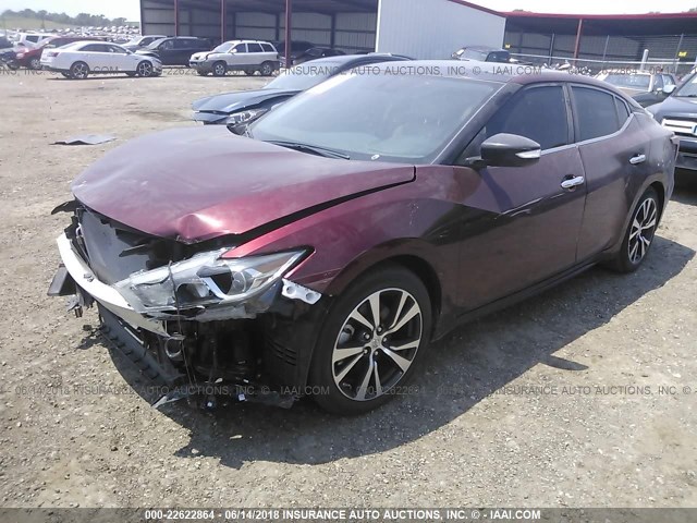 1N4AA6AP7HC436411 - 2017 NISSAN MAXIMA 3.5S/SV/SL/SR/PLAT MAROON photo 2