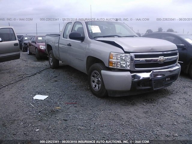 1GCEC19X37Z606126 - 2007 CHEVROLET SILVERADO C1500 CLASSIC Pewter photo 1