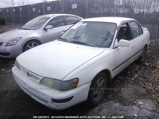 1NXBB02E7TZ409651 - 1996 TOYOTA COROLLA DX WHITE photo 2