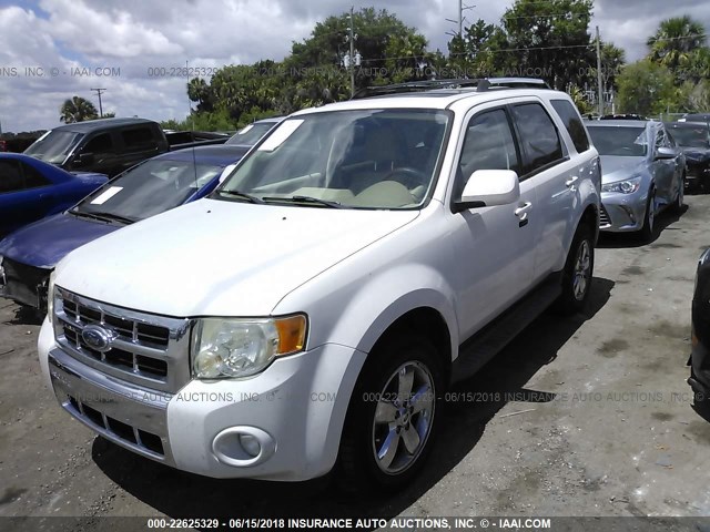 1FMCU04G89KA58900 - 2009 FORD ESCAPE LIMITED WHITE photo 2