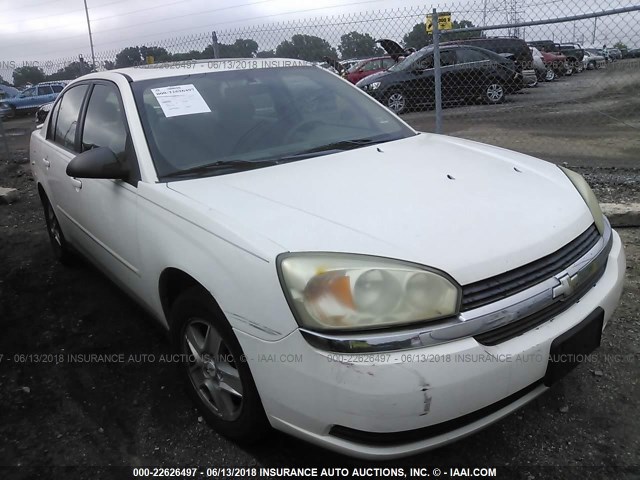 1G1ZT54825F262627 - 2005 CHEVROLET MALIBU LS 白色 照片 1