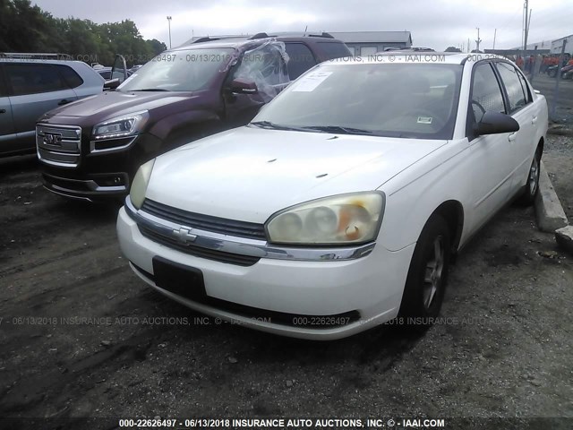 1G1ZT54825F262627 - 2005 CHEVROLET MALIBU LS 白色 照片 2