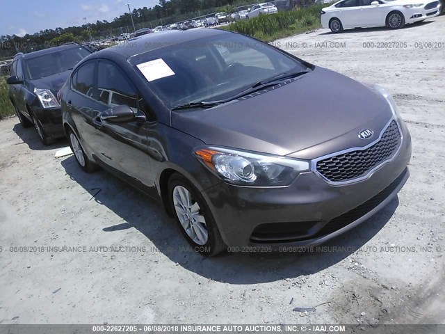 KNAFX4A66E5153358 - 2014 KIA FORTE LX BROWN photo 1