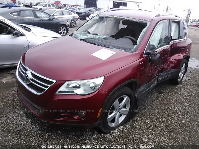 WVGBV7AX7AW003714 - 2010 VOLKSWAGEN TIGUAN SE/SEL RED photo 2