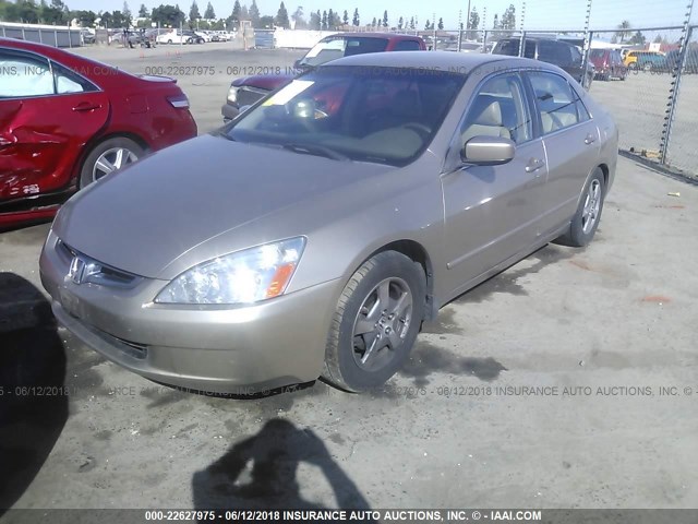 JHMCN36465C015214 - 2005 HONDA ACCORD HYBRID GOLD photo 2