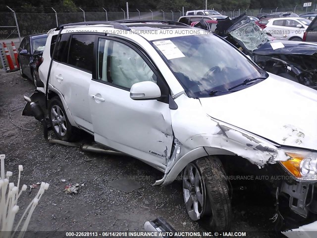 2T3DK4DV4AW023853 - 2010 TOYOTA RAV4 LIMITED WHITE photo 6