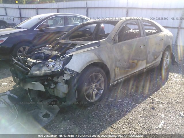 1G11C5SA4DF130499 - 2013 CHEVROLET MALIBU 1LT თეთრი ფოტო 2