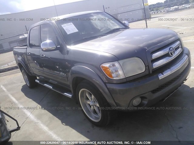 5TBET34176S552143 - 2006 TOYOTA TUNDRA DOUBLE CAB SR5 GRAY photo 1