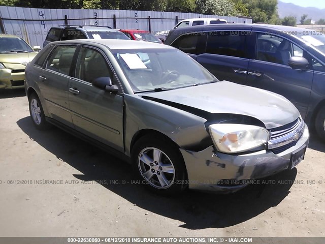 1G1ZT64824F190073 - 2004 CHEVROLET MALIBU MAXX LS 绿色 照片 1