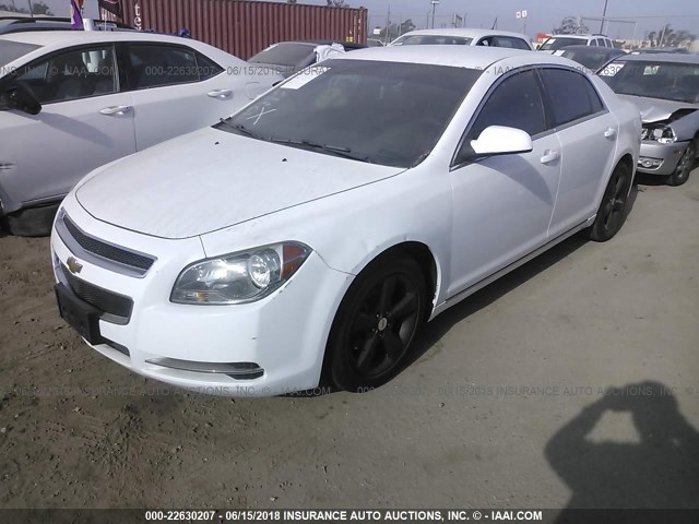 1G1ZC5E16BF351369 - 2011 CHEVROLET MALIBU 1LT თეთრი ფოტო 2