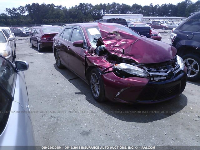 4T1BF1FK7FU919089 - 2015 TOYOTA CAMRY LE/XLE/SE/XSE RED photo 1