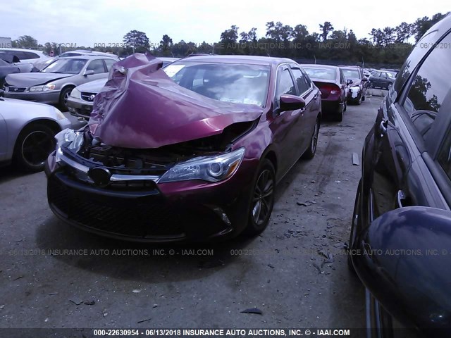 4T1BF1FK7FU919089 - 2015 TOYOTA CAMRY LE/XLE/SE/XSE RED photo 2