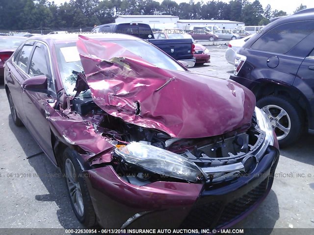 4T1BF1FK7FU919089 - 2015 TOYOTA CAMRY LE/XLE/SE/XSE RED photo 6