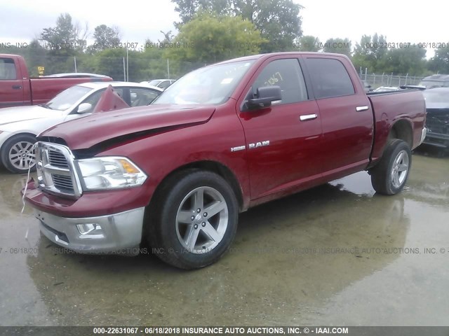 1D7RV1CT9AS114076 - 2010 DODGE RAM 1500 RED photo 2