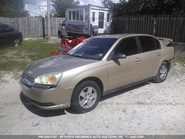 1G1ZT54805F216780 - 2005 CHEVROLET MALIBU LS BEIGE photo 2