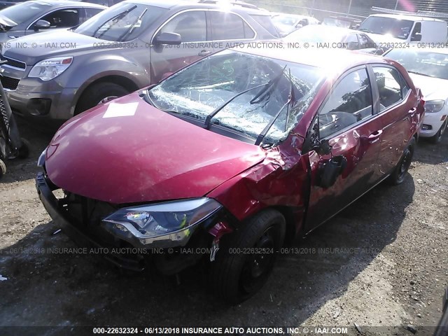 2T1BURHE8EC133121 - 2014 TOYOTA COROLLA L/LE/LE PLS/PRM/S/S PLS RED photo 2