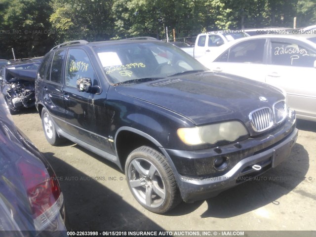 5UXFB33523LH50565 - 2003 BMW X5 4.4I BLACK photo 1