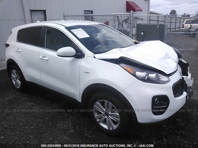 KNDPMCAC6H7260208 - 2017 KIA SPORTAGE LX WHITE photo 1