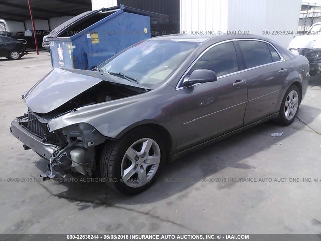 1G1ZB5EB3A4144184 - 2010 CHEVROLET MALIBU LS 棕色 照片 2