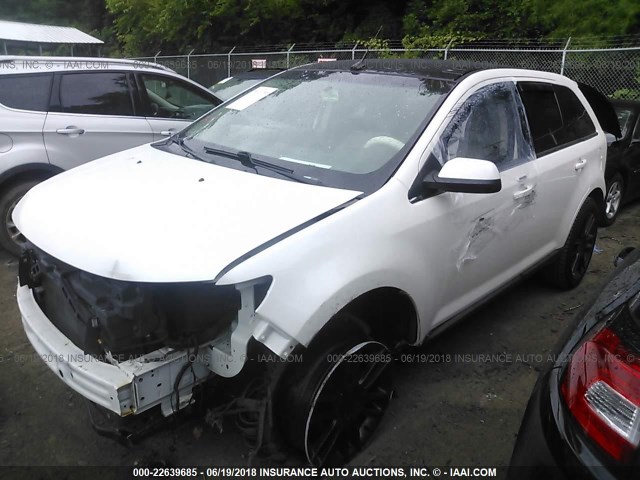 2FMDK3KCXBBB52630 - 2011 FORD EDGE LIMITED WHITE photo 2