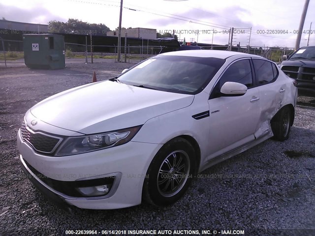 KNAGM4AD6D5057269 - 2013 KIA OPTIMA HYBRID WHITE photo 2